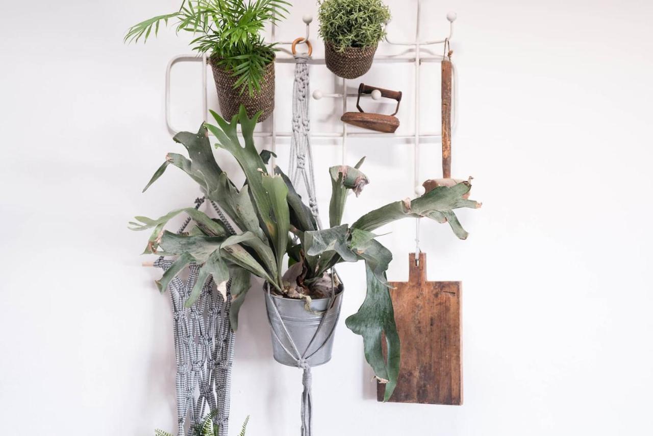 Casa Botanica Villa Tao Eksteriør billede