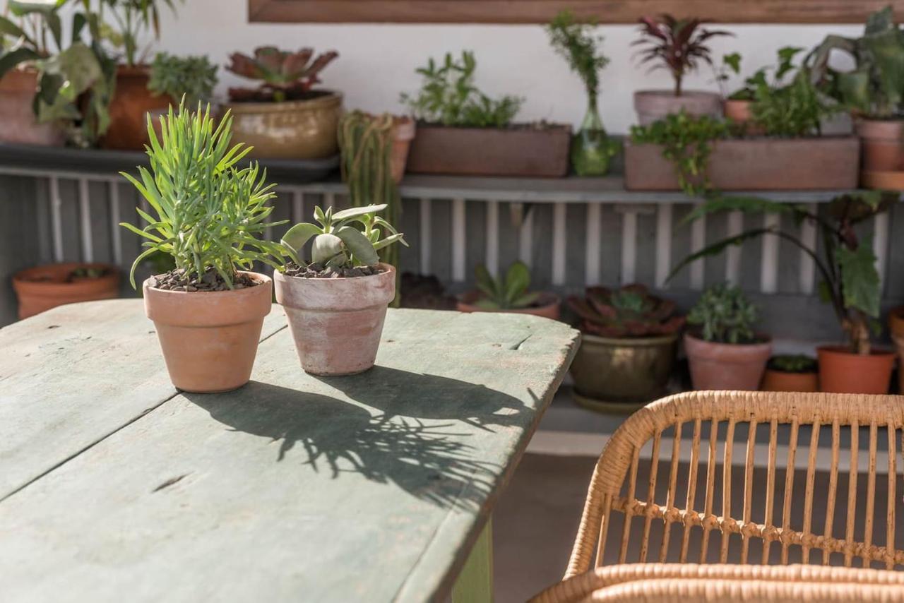 Casa Botanica Villa Tao Eksteriør billede